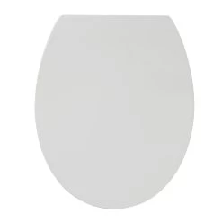 Tiger Wc-bril Blade Wit Met Softclose En Quick-release