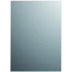 Plieger Basic Spiegel Zilver 120 X 45 Cm