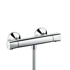 Hansgrohe Douchekraan Ecostat Thermostatisch Universal Chroom